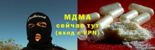 прущие грибы Тихвин