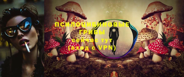 дживик Вязники