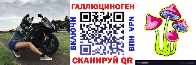 Галлюциногенные грибы Psilocybine cubensis Карачев